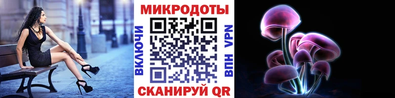 купить   Кстово  Галлюциногенные грибы GOLDEN TEACHER 